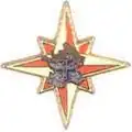Insigne de l'escadron d'éclairage et d'investigation 2