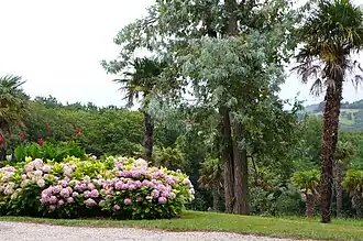 Parc du château avec des espèces exotiques.