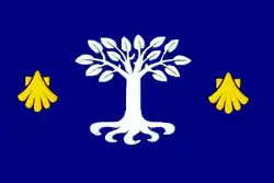 Drapeau de A Pobra do Caramiñal