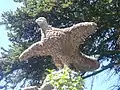 Aigle