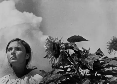 La Terre (1930) d'Alexandre Dovjenko