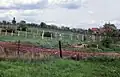 La frontière renforcée avec des miradors, des champs de mines et des barbelés en 1962.