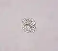 Ebria sp. (Cercozoa : Ebridea)