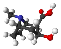 Image illustrative de l’article Ecgonine