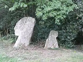 Le Coq et la Poule