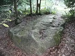 Polissoir