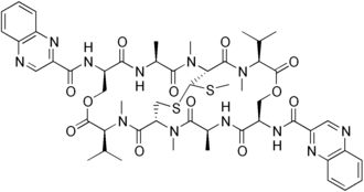 Échinomycine