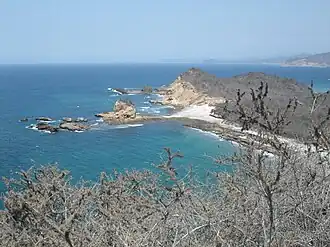 Description de l'image Ecuador Nationalpark Machalilla 2.JPG.