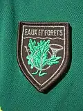 Écusson de commissionnement au titre des Eaux et Forêts porté sur la poitrine par les employés de l'O.N.F sur le polo Défense des Forêts Contre l'Incendie (DFCI) à partir des années 2000.