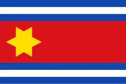 Drapeau de Eenrum