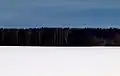 Le paysage hivernal reproduit les couleurs du drapeau de l'Estonie.