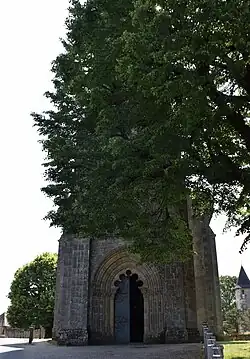 Vue de la façade occultée par un immense tilleul.