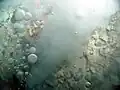 Des fumeurs blancs