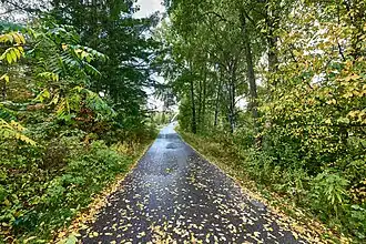 Sentier du parc.