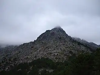 Pic El Torreon (es)