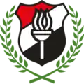 Logo actuel