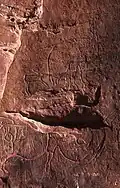 El Krima, autruche