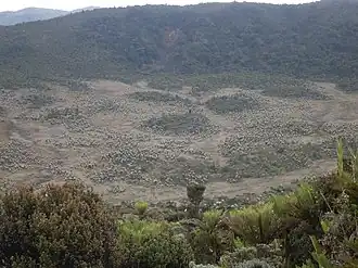 Gualmatán