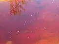 Río Tinto