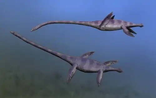 Dessin de deux élasmosaures sous l’eau.