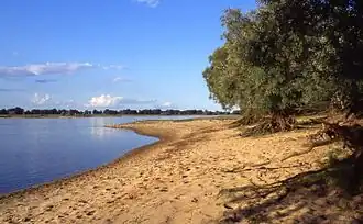 Gorleben