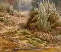 Elizabeth Strong, Fleurs sauvages près d'un ruisseau, 1888.