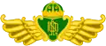 Blason