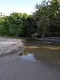 Embouchure de la Petite Rivière.