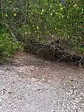 Embouchure de la ravine Bois l'îlet.