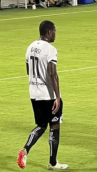 Image illustrative de l’article Emmanuel Gyasi