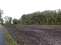 Coupe à blanc en 2019 pour l'agriculture.