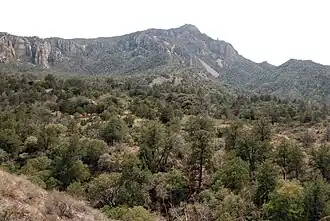 Vue du sommet.