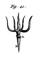 Pl. VI : « chardon & artichaux ».