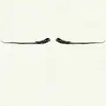 Moustache anglaise
