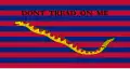 Insigne de la South Carolina Navy&nbsp;(en).