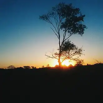 Nova Independência