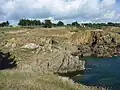 Stang Nabec : restes de murs construits à l'aplomb de la falaise par les goémoniers 2