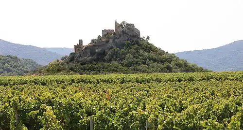 Sur son piton rocheux, le castellas d'Entrechaux cerné de vignes.