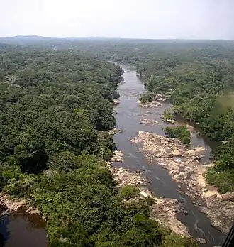 Image illustrative de l’article Forêt de l'Ituri