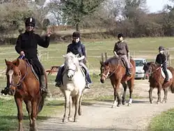 4 cavalières de face en randonnée équestre sur un chemin de terre, le 2e&nbsp;cheval au centre étant de robe blanche.