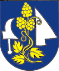 Blason de Radimov