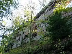 Erbsenfelsen.