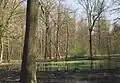 Forêts