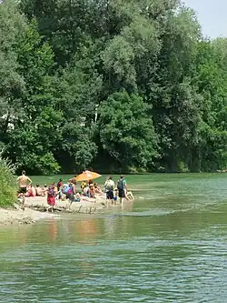 Plaisir sur l'île