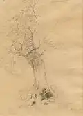 Étude d'arbre (1844)