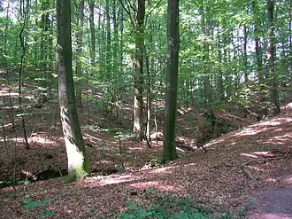 Börnsen