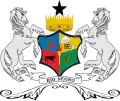 Blason de Río Negroville et commune du Chili