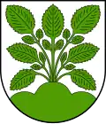 Blason de Hasel