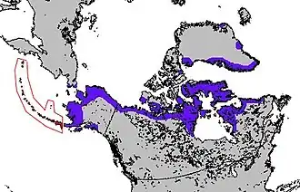 Image illustrative de l’article Langues eskimos