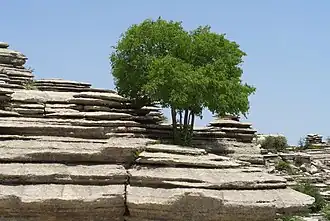 El Torcal